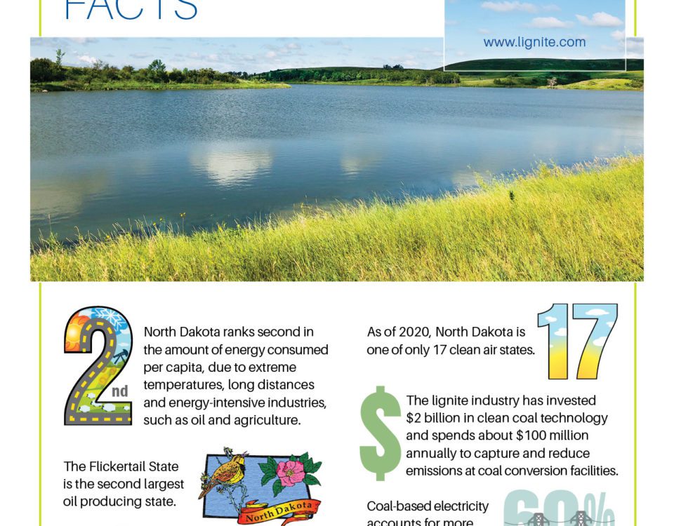 Energy and Environmental Facts